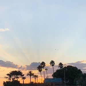 Meet your Posher, Sophia